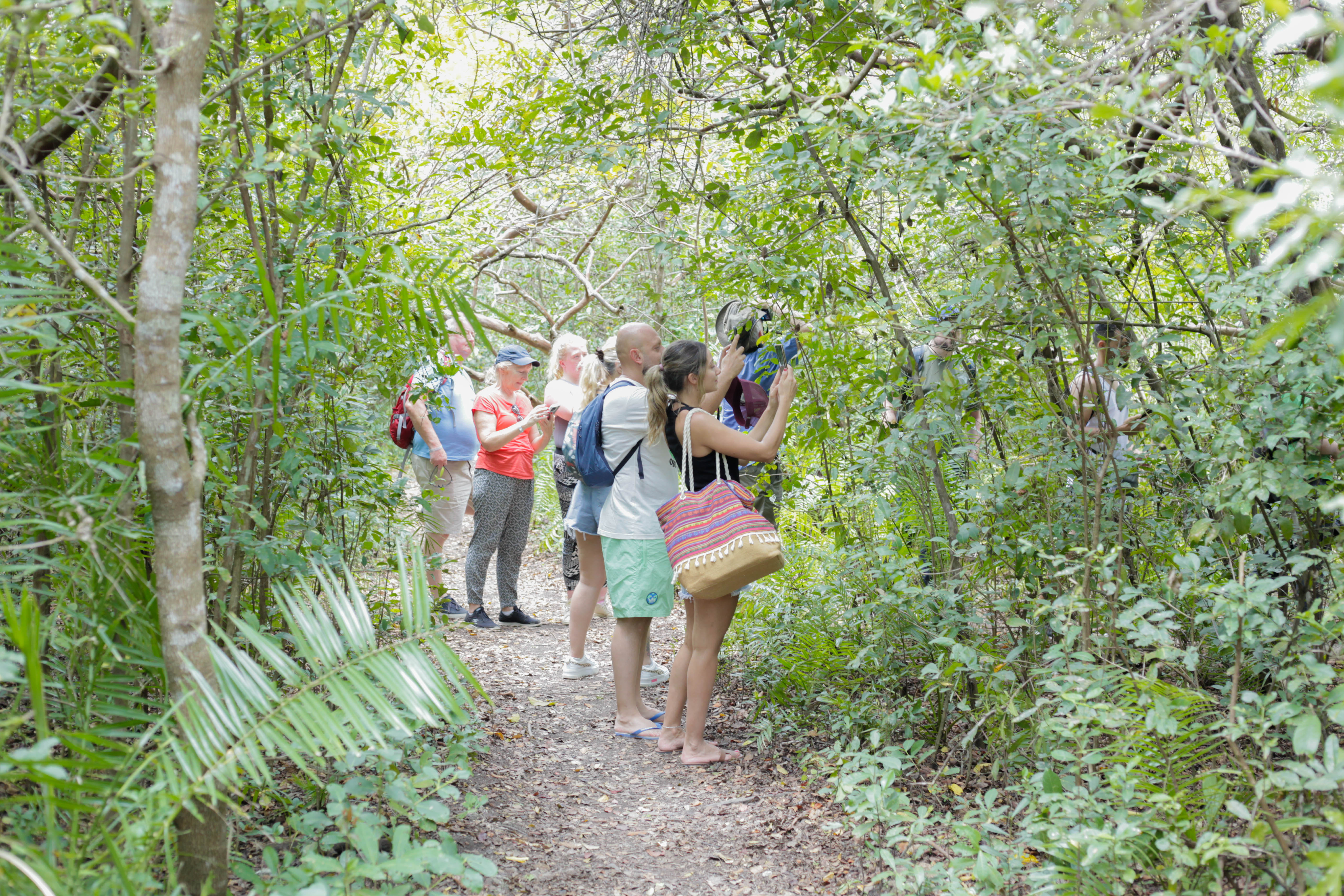 Jozani Forest: A Jewel of Cultural and Environmental Significance